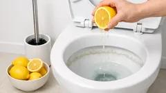 Como tirar o calcário da sanita com limão: truque simples que resulta